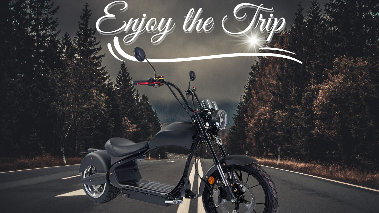 Load video: Electric Moped - MH3 Electric Fat Tire Citycoco Motor Scooter