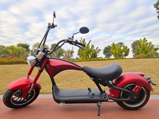 Elmoped- Electric scooter M1P citycoco 2000W - AlltSmart