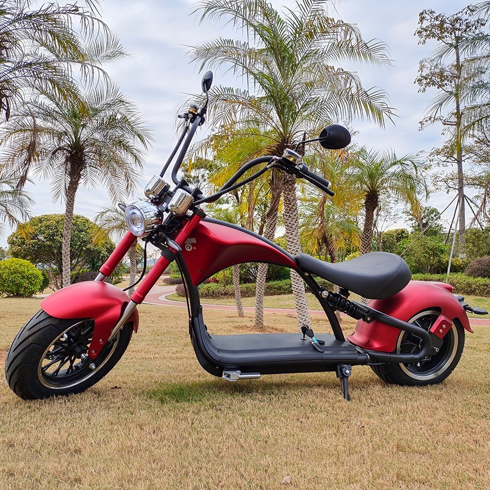 Elmoped- Electric scooter M1P citycoco 2000W - AlltSmart